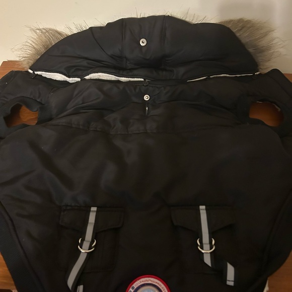 Luv gear Buy Lulu's winter coat (look at that face) - Picture 5 of 7